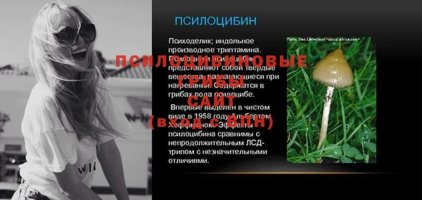 ПСИЛОЦИБИНОВЫЕ ГРИБЫ Армянск