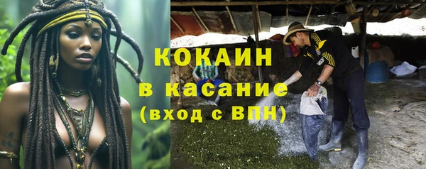 ПСИЛОЦИБИНОВЫЕ ГРИБЫ Армянск