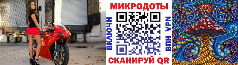 Галлюциногенные грибы Cubensis Мариинск